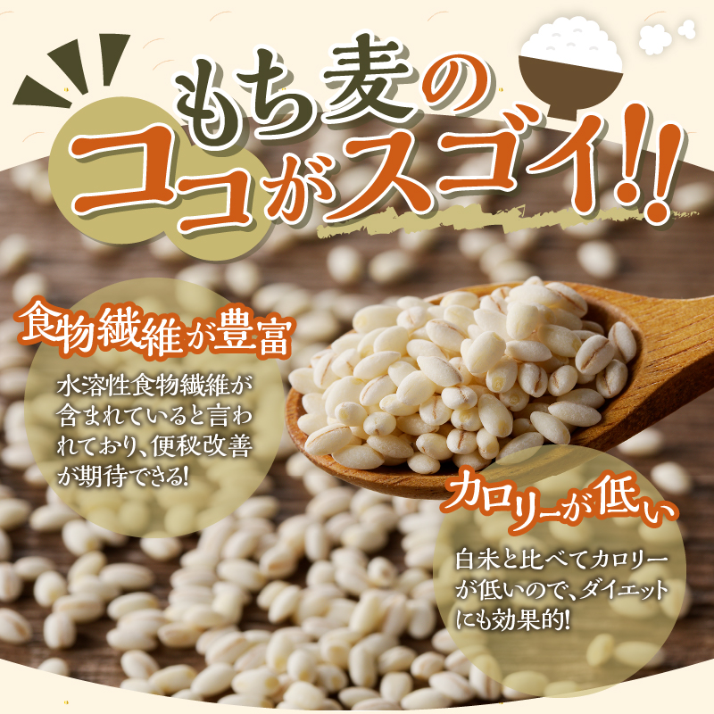 【豊富な食物繊維】もち麦