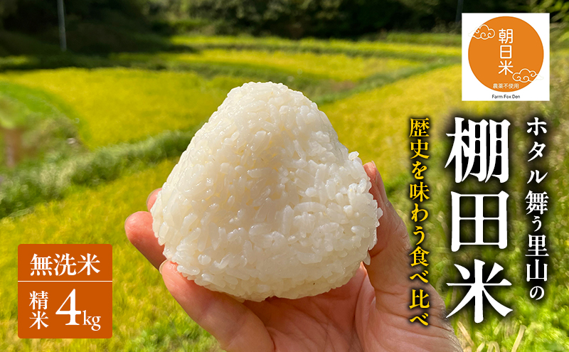 先行受付 伝統稲と現代稲食べ比べ 無洗米 ホタル舞う里山の棚田米 精米4kg 令和8年産 朝日2kg にじのきらめき2kg 各1袋