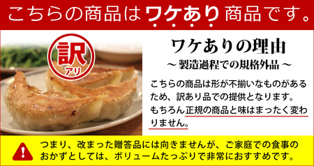 訳あり 本格生餃子 100個(50個×2袋) 餃子