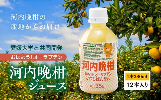 
            おはよう！オーラプテン河内晩柑ジュース（280ml×12本） ｜ 280ml 河内晩柑 愛南ゴールド 美生柑 みかん 機能性表示食品 オーラプテン 柑橘 飲料 中高年 記憶 衰え 認知 ジュース 健康 美容 クエン酸 はちみつ グレープフルーツ  伊方町 愛媛県 愛南町 伊方サービス株式会社 ※2024年11月下旬より順次発送予定
          