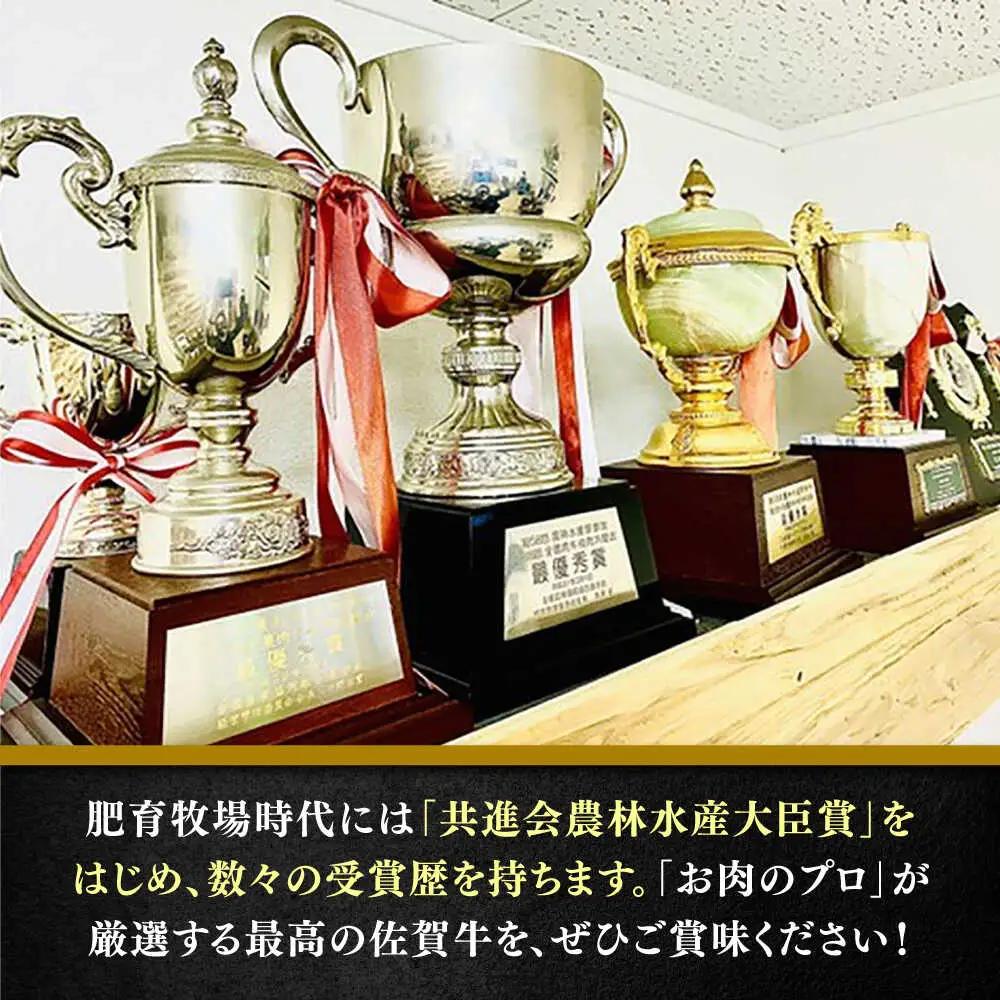 佐賀牛100%ハンバーグ6個セット ハンバーグ ハンバーグ ハンバーグ / 佐賀県 / 田中畜産牛肉店 [41ARAA005]