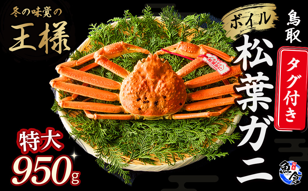
            【魚倉】タグ付きボイル松葉ガニ（特大９５０ｇ）冷蔵 カニ ボイル 松葉ガニ タグ付き 新鮮 ボイル ズワイガニ ずわいがに 鮮度抜群 高級 特大 国産 鳥取県 倉吉市
          