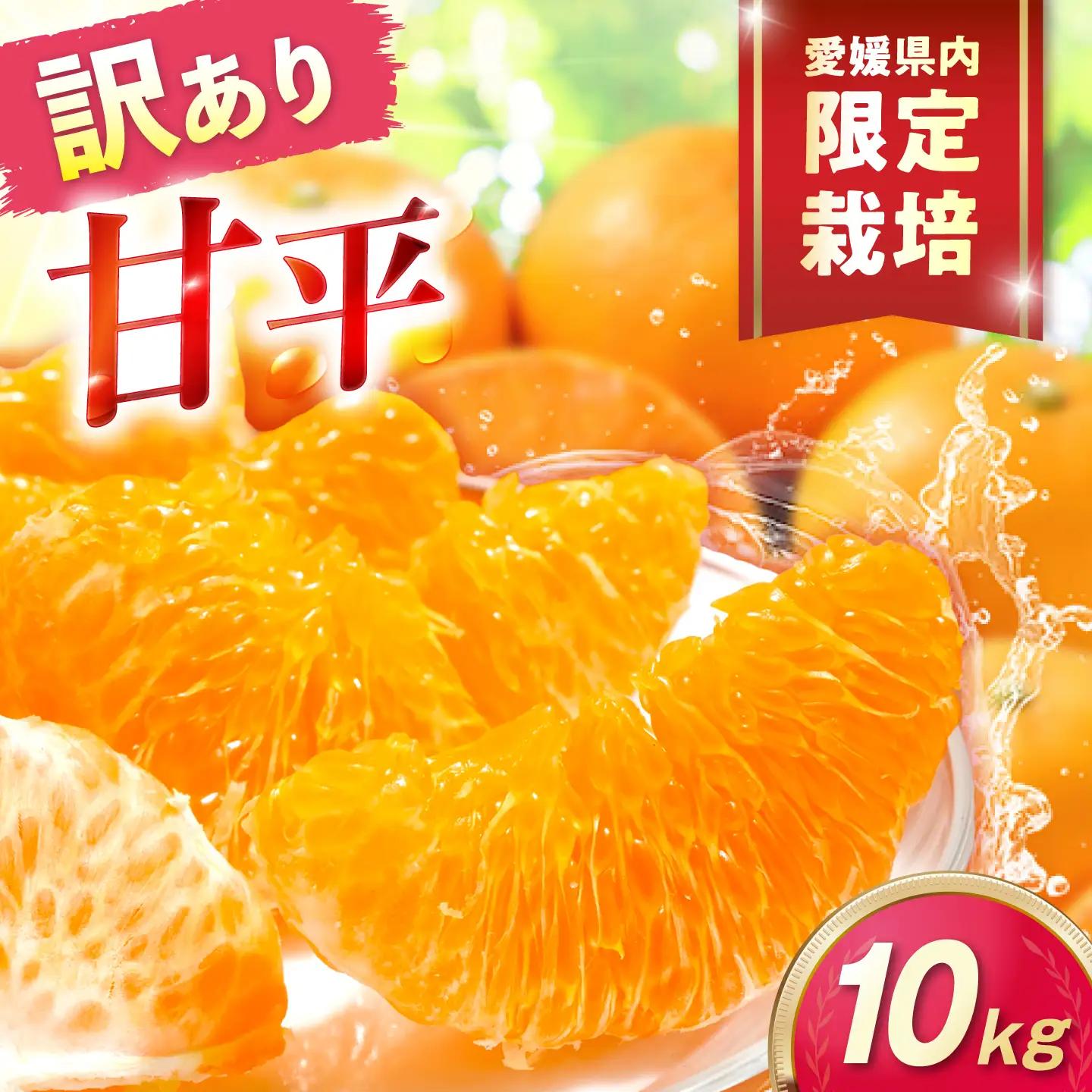 みかん 訳あり 甘平 サイズ不揃い 約10kg みかん BJAZ026 