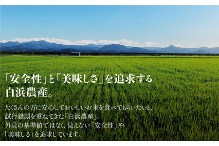 【令和5年産】【九州米・食味コンクール3年連続入賞！】こだわりのさがびより 20kg（白米） /令和5年度産 米 特別栽培米 白米 ブランド米 さがびより さがのお米 米粒が大きくしっかり お米の甘味