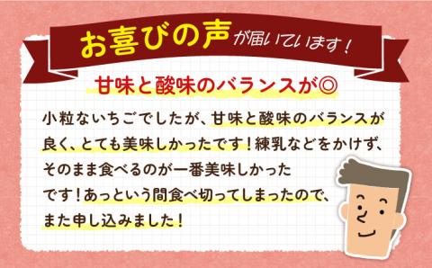 【季節限定】お徳用 いちご 1kg イチゴ 苺 バラ詰め ゆめのか 恋みのり ゴロゴロ生いちご 中玉小玉サイズ 《壱岐市》【蒼花】 [JEO002] 9000 9000円