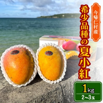 【2026年7月から順次発送・数量限定】仲本マンゴー園の希少品種の夏小紅1kg(2～3玉)【配送不可地域：離島】