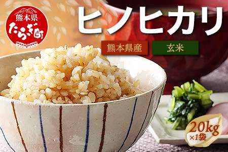 【 令和8年産米】 多良木町産 ヒノヒカリ 玄米 20kg 11月上旬～発送予定 116-0502