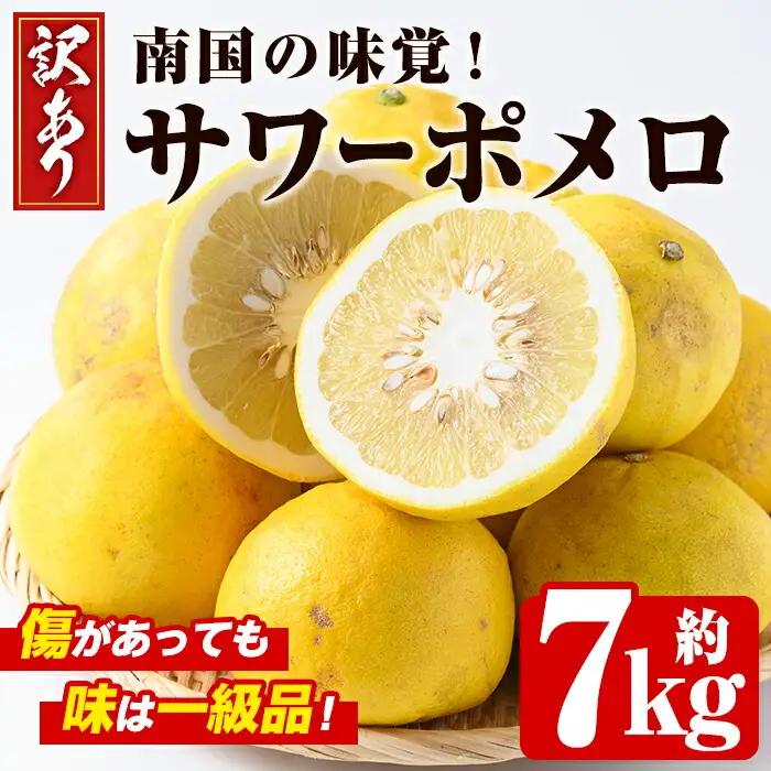 ＜先行予約受付中！2027年2月下旬以降順次発送予定＞＜訳あり・傷あり＞数量限定！サワーポメロ(約7kg) 国産 フルーツ 果物 柑橘類 サワーポメロ 甘味 酸味 デザート おやつ 訳あり【なかむら果樹園】akn014-01