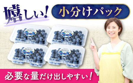 【2024年7月中旬頃より順次発送予定】生ブルーベリー 1kg（250g×4袋）/ ベリー ブルーベリー 生 小分け 果物 フルーツ / 大村市 / おおむら夢ファームシュシュ[ACAA005]