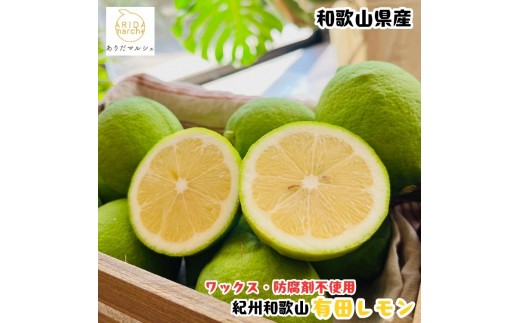 ［先行予約］［国産］紀州和歌山 有田レモン 1kg ［MS66］