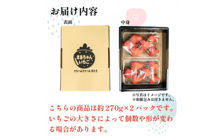 いちご ゆめのか 500g 以上 (270g×2p)  果物 フルーツ ストロベリー スイーツ 先行予約 阿波市 徳島県