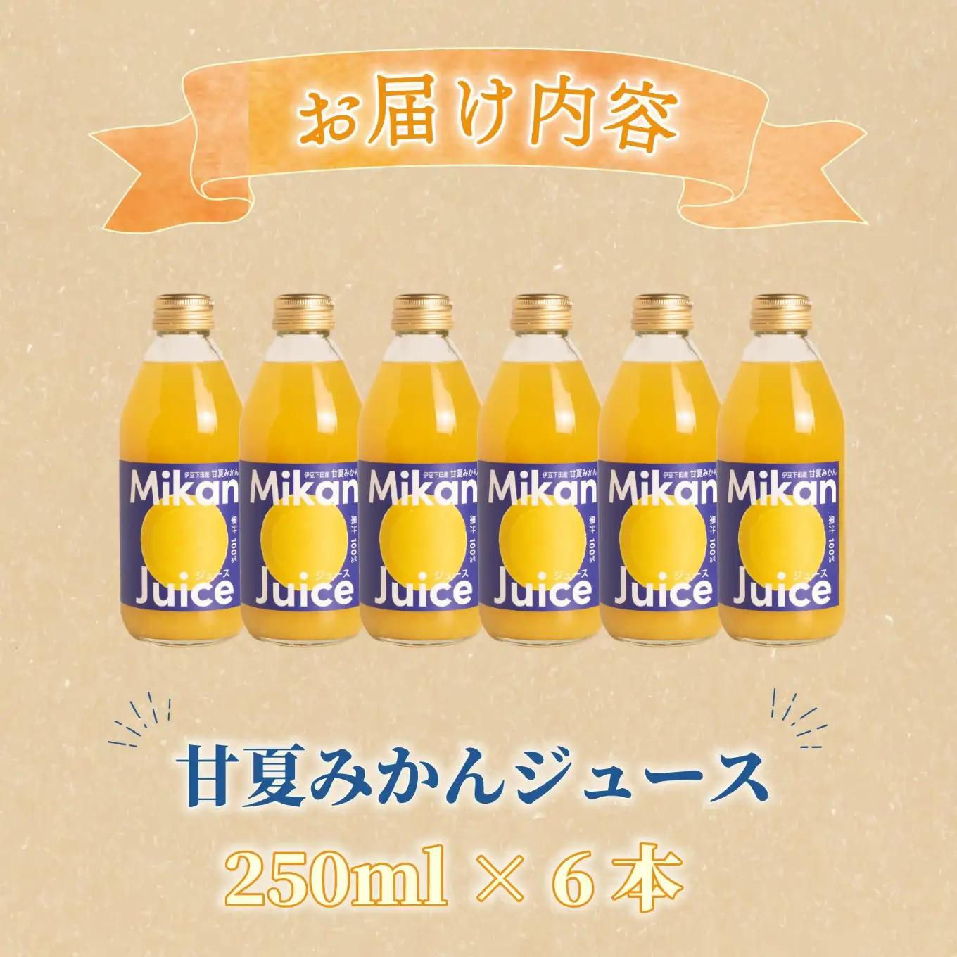 みかん ジュース 甘夏 250ml 6本 果汁100％ 甘夏みかん