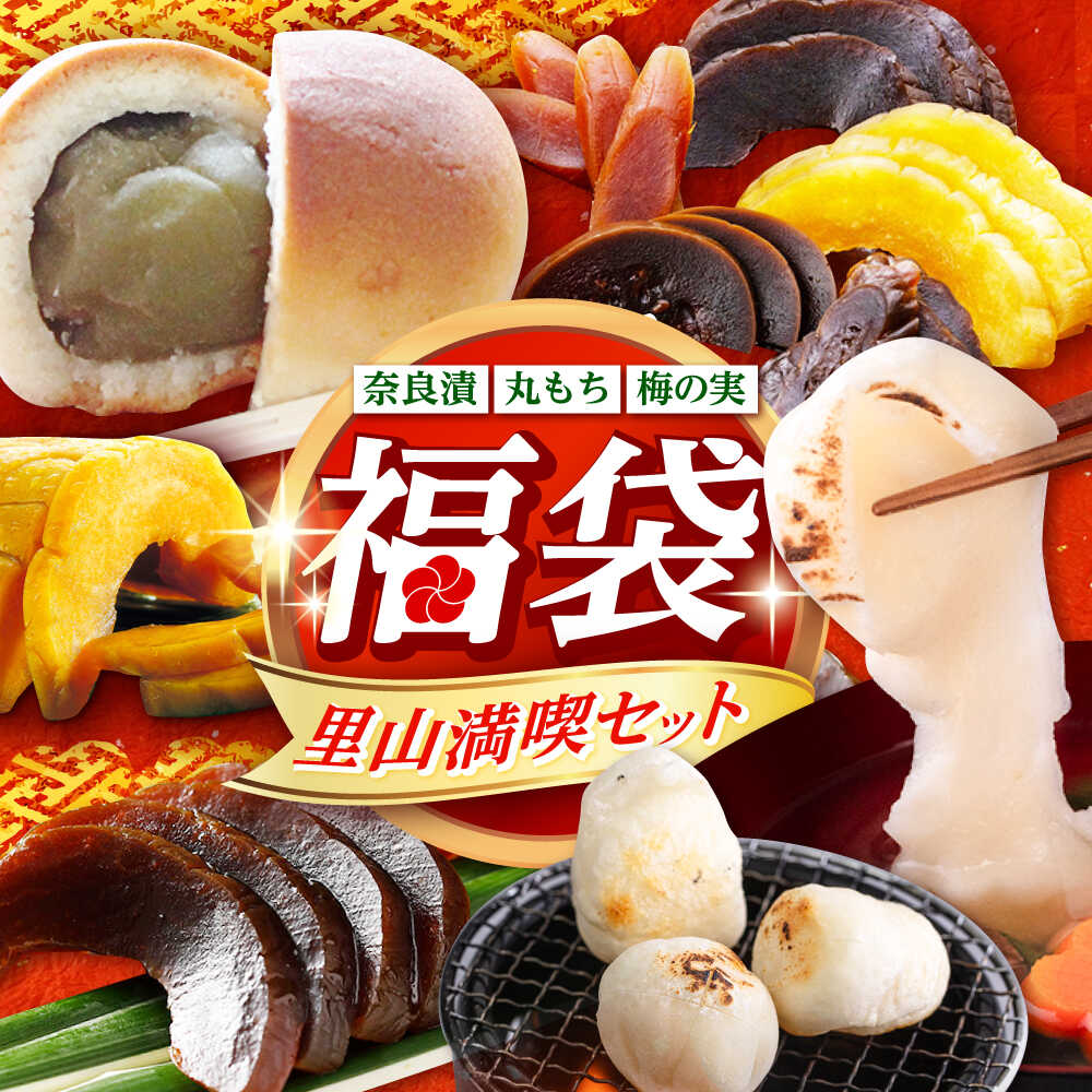 【ふるさと納税】福袋 里山満喫セット （ 餅 / 漬物 / 焼き菓子 ） 《築上町》 和ギフト もち 奈良漬け 和菓子 正月[ABZY017] 38000 38000円