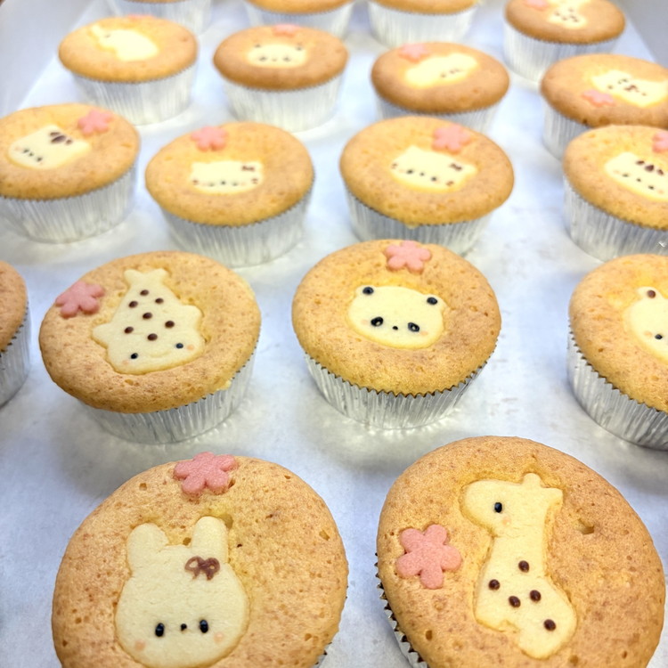 クッキー缶とかわいい焼菓子7点セット