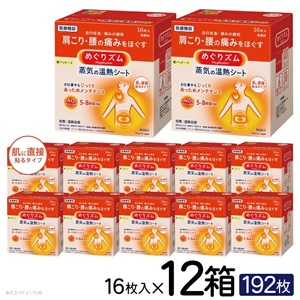 SG0045　めぐりズム 蒸気の温熱シート【肌に直接貼るタイプ】　192枚(16枚入×12箱)