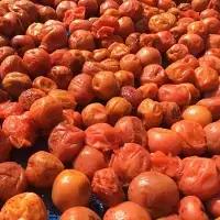 昔ながらのすっぱい梅干 1kg （200g×5） 塩分15％ / 梅干し 田辺市 紀州南高梅 南高梅 梅干 梅 うめ 肉厚 お米 おにぎり 焼酎 梅酒 健康 昔ながら 栽培期間中農薬不使用 和歌山 龍