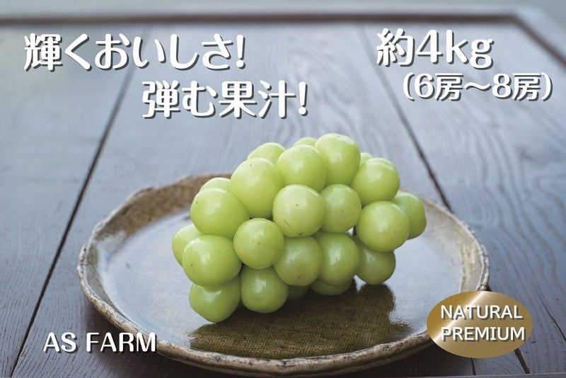 
                  甲州市産シャインマスカット 約4kg（6～8房） 数量限定100セット【2026年発送】（ASF）H-145 【シャインマスカット 葡萄 ぶどう ブドウ 令和8年発送 期間限定 山梨県産 甲州市 フルーツ 果物】
                