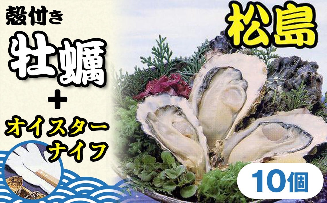 
            殻付き牡蠣10個＋オイスターナイフ ／ カキ 貝 殻付き 松島湾 海産物 牡蠣セット オイスターナイフ 新鮮 宮城県 特産品 No.175
          