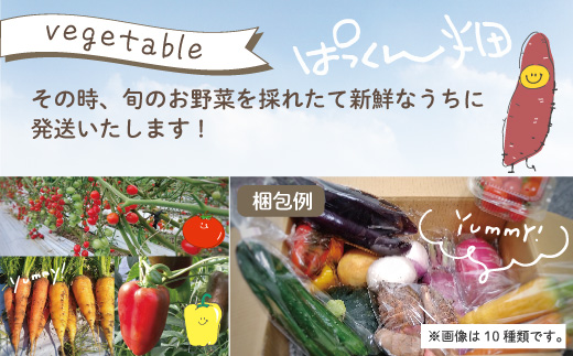 【 早期受付 8回 定期便 】 旬な野菜セット 約5種類 とれたて 新鮮 ぱっくん畑のおくりもの 農家直送 国産 野菜 やさい 高知県 高知 四万十市 四万十 しまんと 野菜便 産地直送 【2026年