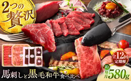 【全12回定期便】「熊本特産馬刺しとくまもと黒毛和牛」フジチクオリジナル贅沢食べ比べセット 3905 / 菊陽町 熊本県 くまもと ばさし ぎゅう 肉 ゆっけ スライス ユッケ 生姜 バラ ご褒美 祝い【株式会社フジチク】 [BHAD053]
