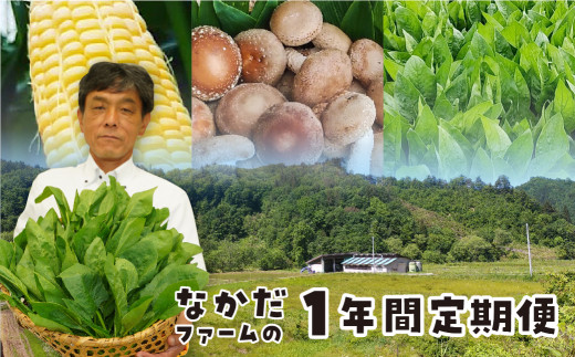 ＜8月から寄附額改定＞なかだファーム4回お届け 年間定期便 しいたけ ほうれん草 とうもろこし 個包装 詰め合わせ 野菜 やさい