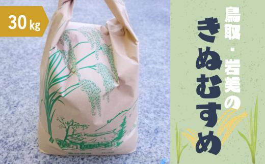 【2025年産 先行予約】岩美のきぬむすめ 30kg 玄米｜鳥取 岩美 お米 おこめ コメ 国産 岩美町産 きぬむすめ 令和7年産【31020】