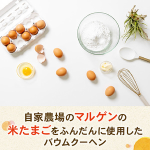 バームクーヘン 【ハードタイプ】 バウムクーヘン