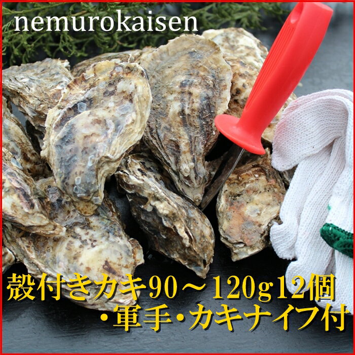 【ふるさと納税】 [北海道根室産] 殻付カキ 90 ~ 120g × 12 個 かき 牡蠣 から付き カラ付き お取り寄せ グルメ 海鮮 濃厚 北海道 根室市 ふるさと納税 A-57055