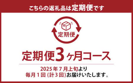【ぶどう定期便3回】 （マスカットオブアレキサンドリア ・ ニューピオーネ ・ 晴王） 【2025年7月上旬より発送開始】 ／ 3回 マスカット シャインマスカット 葡萄 ぶどう 果物 果実 フルーツ