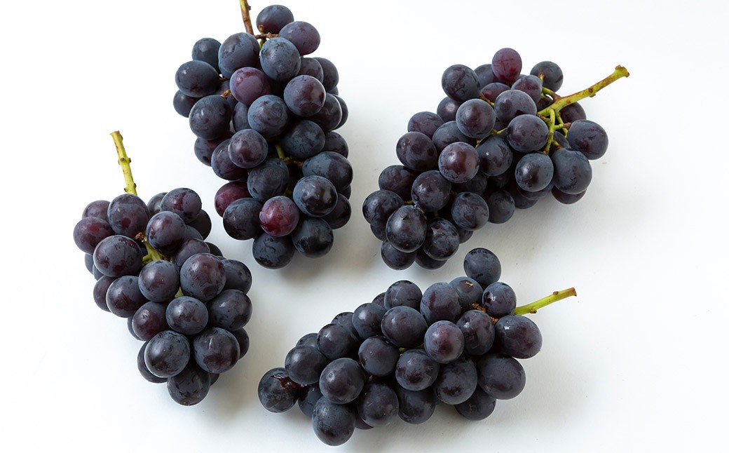 【先行予約】 やまんどん 巨峰 3房から5房 （約2kg）