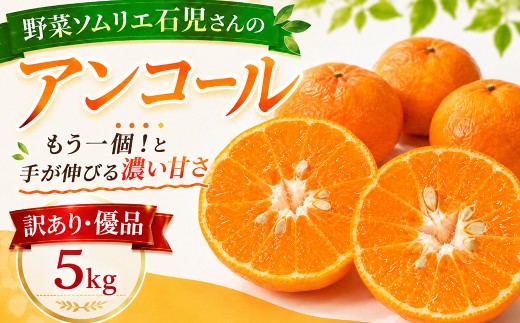 【2027年先行予約】【訳あり・優品】野菜ソムリエ石児さんの「アンコール 5kg」／ アンコール あんこーる アンコールオレンジ ミカン みかん 蜜柑 柑橘 甘い 5kg 柑橘類 5キロ 訳あり ワケアリ フルーツ 先行予約 3月 4月 3月発送 4月発送 ＜103-019＞