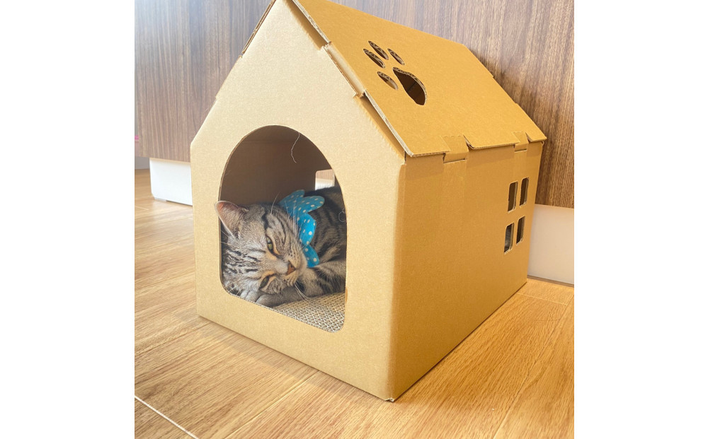 【クラフト地】キャッツプレイハウス＆専用つめとぎ10枚セット