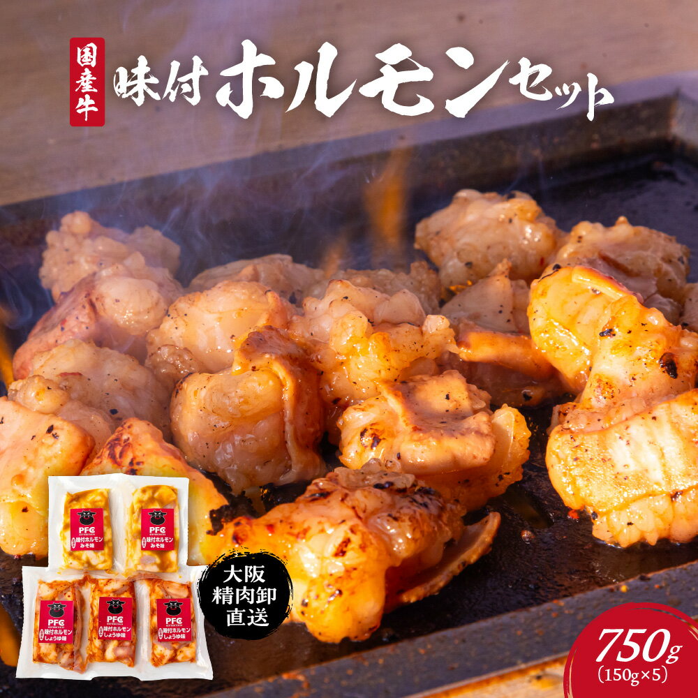 【ふるさと納税】国産牛 味付ホルモン セット 小腸 醤油だれ 味噌だれ 焼肉 牛ホルモン やみつき 旨み 唐辛子 にんにく オニオン 果汁 白みそ 焼肉だれ ホットプレート フライパン 大阪市 大阪府 送料無料
