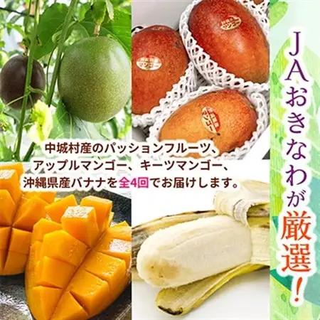 【発送月固定定期便】JAおきなわ厳選!季節の南国フルーツ全4回【配送不可地域：離島】【4079625】