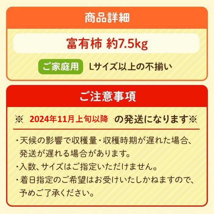 【2025年11月上旬以降発送】◆先行予約◆和歌山県産 富有柿＜ご家庭用＞約7.5kg 満杯詰め［MG2］