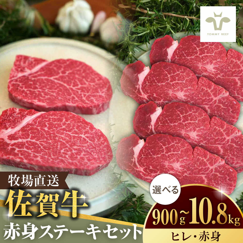 【ふるさと納税】【選べる単品・定期便】佐賀牛ヒレステーキ300g（150g×2枚）と赤身ステーキ600g（150g×4パック） / 国産牛 ブランド牛 牛肉 ステーキ 焼肉 ギフト 記念日 贈答 / 佐賀県 / 有限会社佐賀セントラル牧場 [41ASAA054]