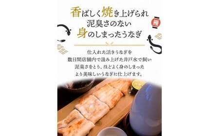 国産うなぎ白焼（5本） / 和歌山 田辺市 国産 国産うなぎ 国産鰻 うなぎ 鰻 鰻丼 うな丼 土用の丑の日【ots021】