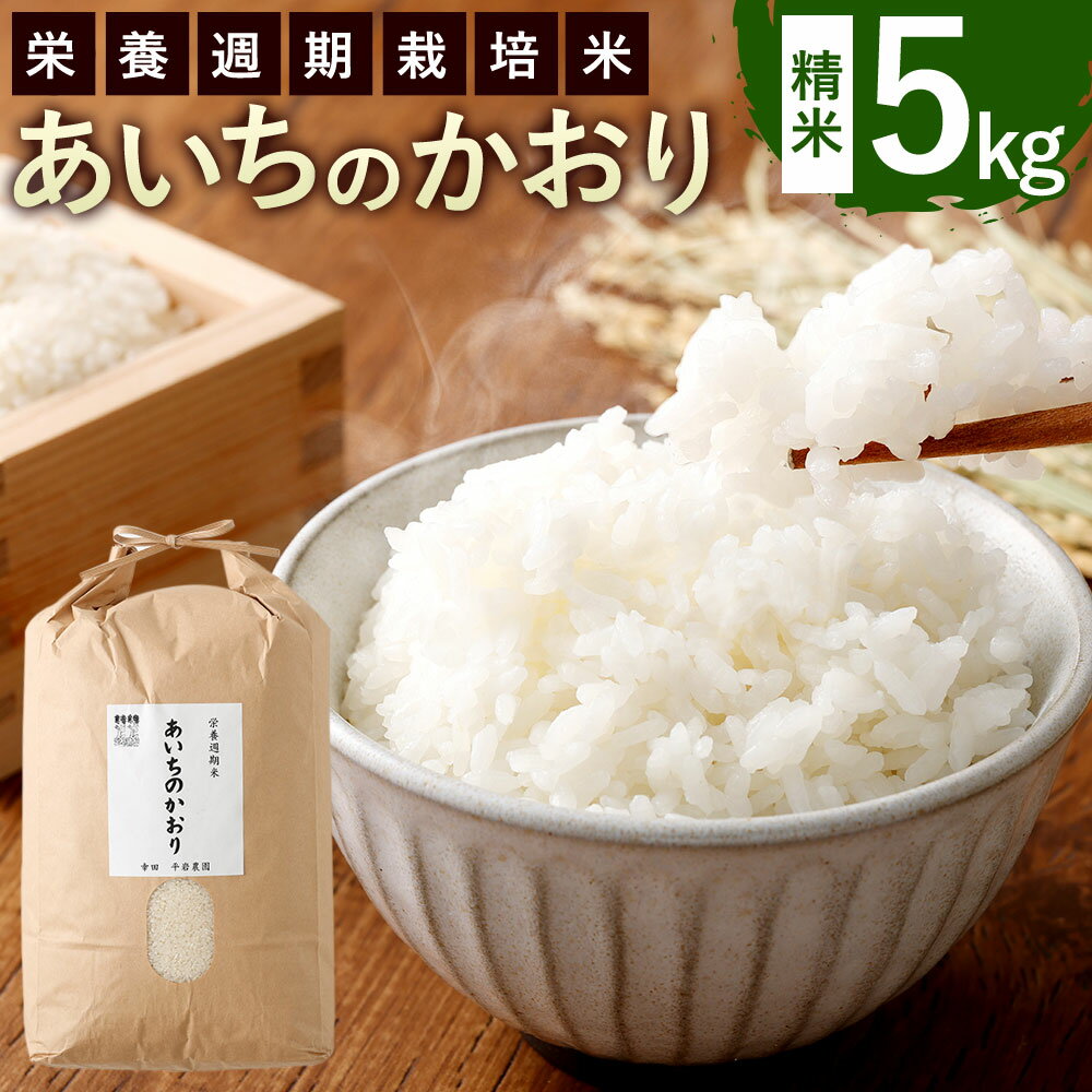 【ふるさと納税】幸田町産 栄養週期栽培米 あいちのかおり 5kg 1袋 米 お米 白米 精米 送料無料