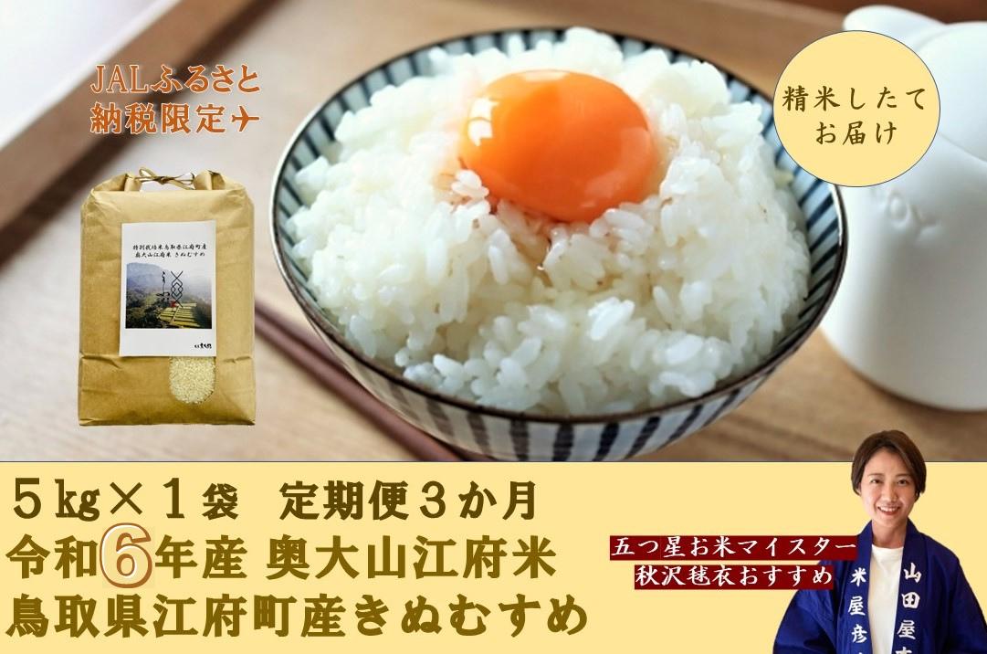 【JALふるさと納税限定】-定期便3回- 令和6年産 特別栽培米きぬむすめ 奥大山江府米 5kg×3ヶ月 鳥取県江府町産 先行予約 YA3 0813