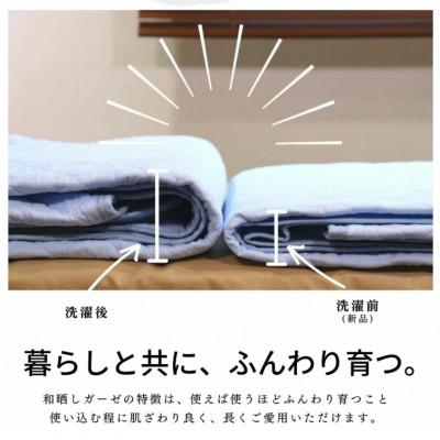 ふるさと納税 蒲郡市 三河産　綿100%和晒し脱脂綿　敷パット　SDサイズ_ももいろ_【G0497】 |  | 02