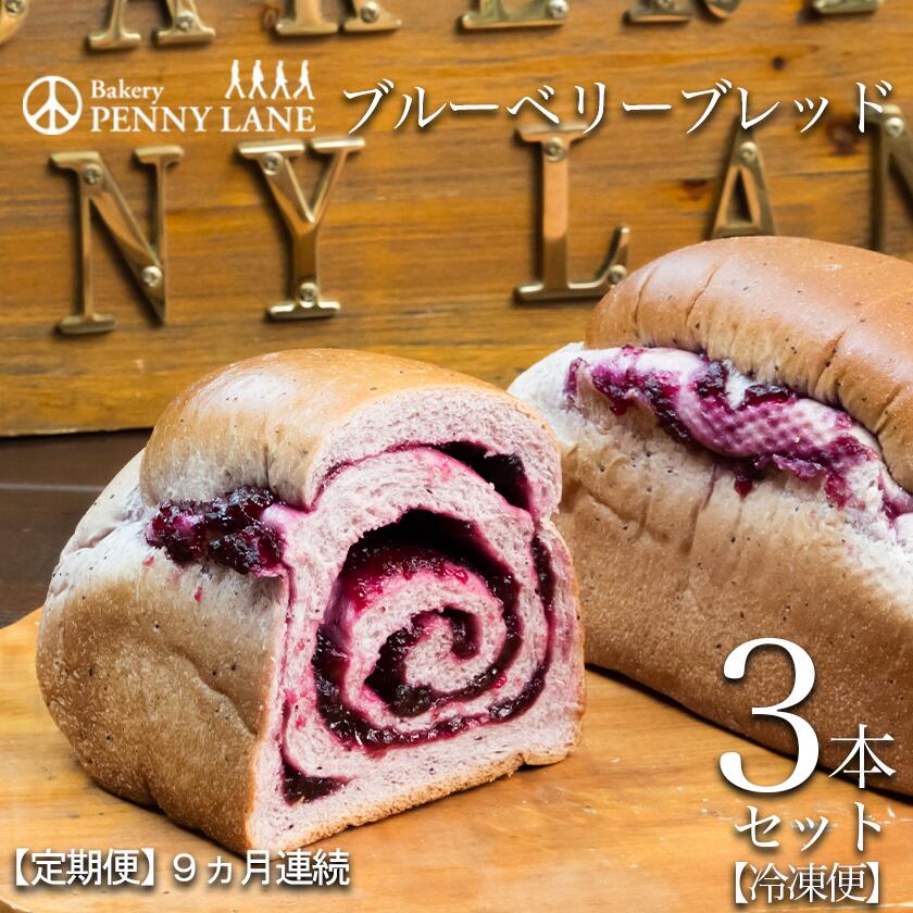 【ふるさと納税】【9ヵ月定期便】ペニーレインのブルーベリーブレッド3本セット | 茨城県 つくば市 パン パン屋 茨城県 つくば市 ブルーベリー 冷凍パン お取り寄せ 人気 おすすめ ベーカリー グルメ プレゼント レストラン ドッグラン 冷凍 冷凍便 定期便