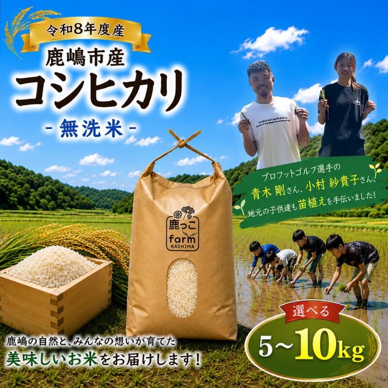 【ふるさと納税】 無洗米 こしひかり 5kg 10kg 【選べる】 【先行予約】 米 単一原料米 令和8年度 新米 白米 こめ 国産 産地直送 お米 kosihikari ご飯 ごはん rice kome okome 甘み 粘り 豊かな香り 苗植え 田谷沼 鹿っこfarm 茨城県 鹿嶋市 【2026年10月以降発送】