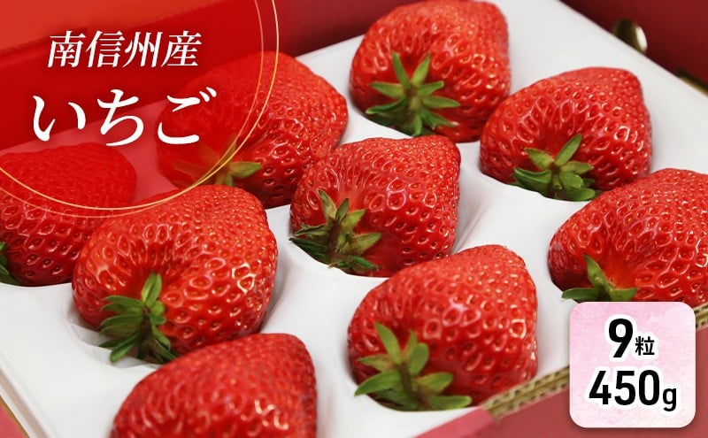 
            【特選贈答用】南信州産「いちご」（9粒・450g）【信州駒ヶ根いちご園】 果物類 苺 イチゴ [№5659-1134]
          