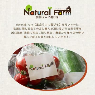 ふるさと納税 枕崎市 塩麹(坊津の華)1個 Y0-39 |  | 03