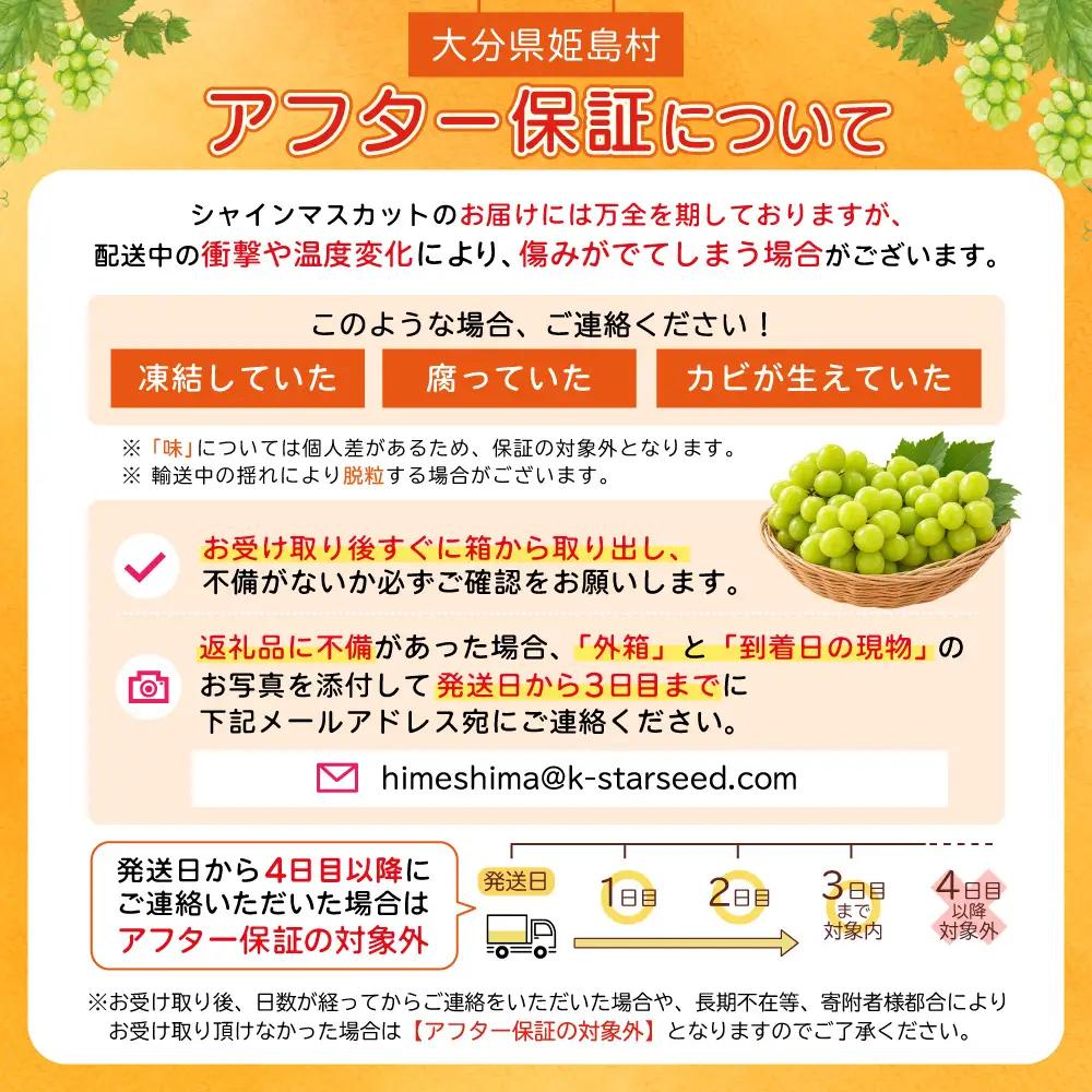 大分県産 シャインマスカット 約500g (1～2房) 2B1