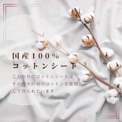 ふるさと納税 伊予市 フェイスパック　午後10時のシンデレラ　プレミアム　ミルキーフィグ　100枚 |  | 03