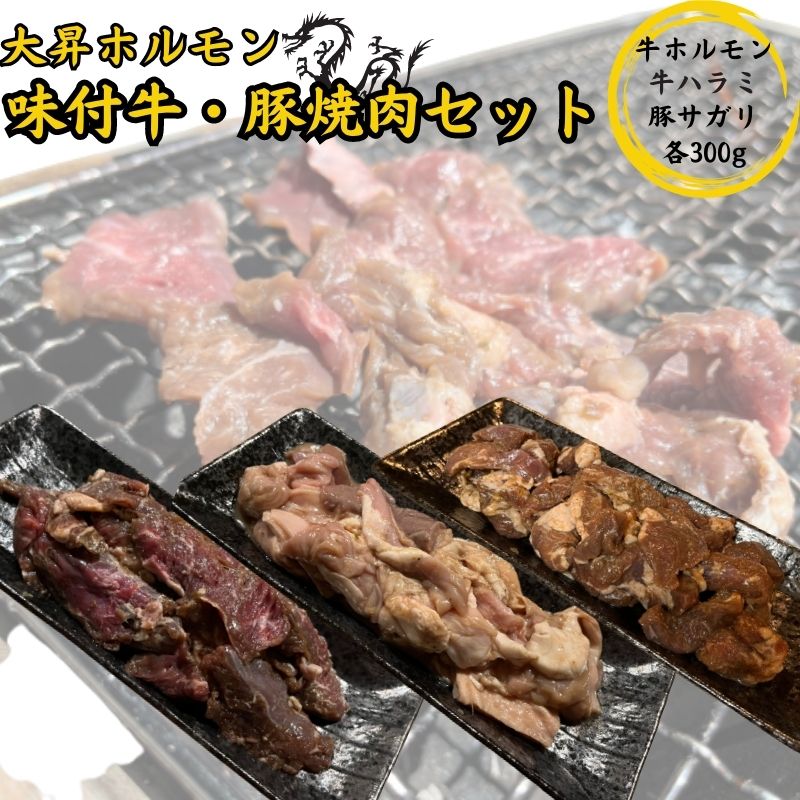 【ふるさと納税】【特製たれ付き】味付け牛・豚焼肉セット900g【牛ハラミ300g/牛ホルモン300g/豚サガリ300g】 お肉 バーベキュー BBQ おうち焼肉 休日 夕飯 肉料理
