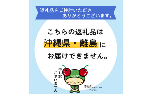 【色おまかせ5色以上（10品種）】薔薇の花 20本×長さ60cm （切り花延命剤付属）【 花 植物 バラ ばら 華道 フラワー アレンジメント ローズ お祝い 装飾 花瓶 風呂 綺麗 きれい 美しい 