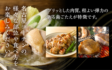 【定期便】《期間限定》名古屋コーチン 3回定期便 正肉 焼き鳥 ハム