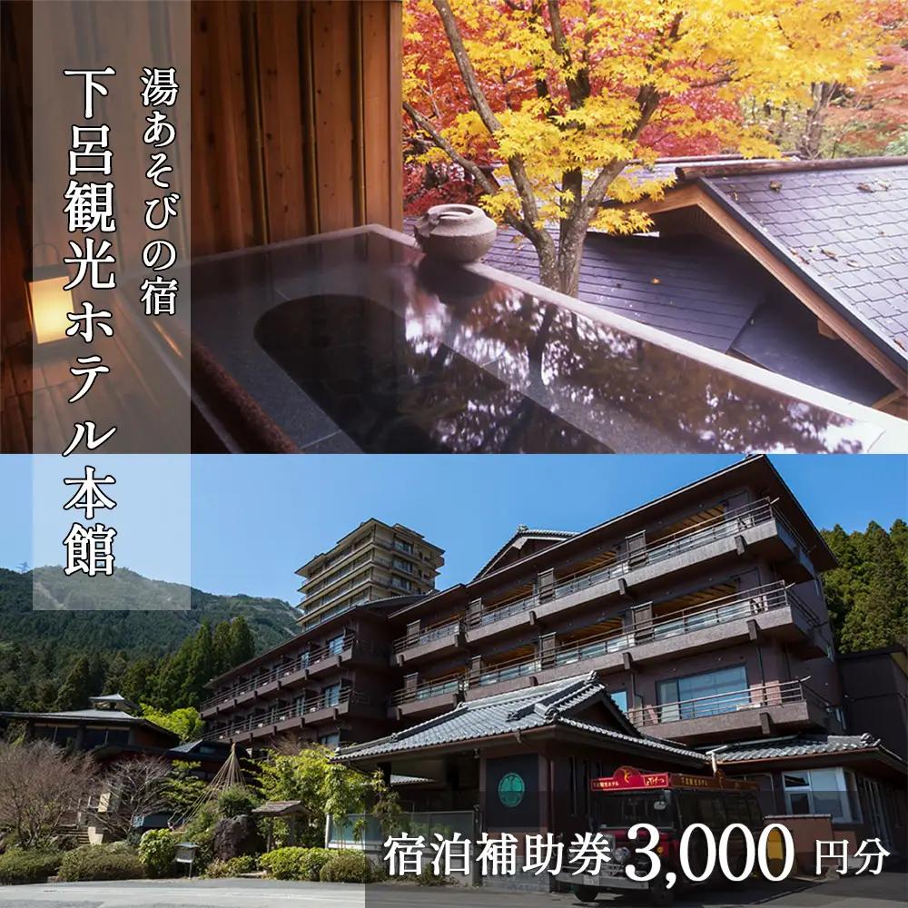 下呂温泉【下呂観光ホテル】宿泊補助券(3,000円分）【a013-1】